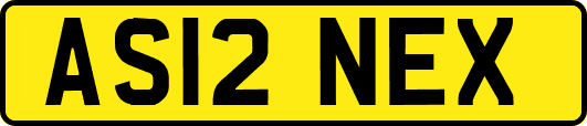 AS12NEX