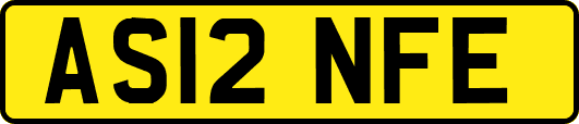 AS12NFE