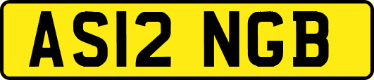 AS12NGB