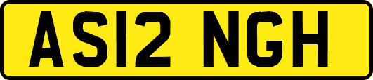 AS12NGH