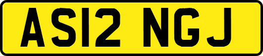 AS12NGJ