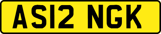 AS12NGK