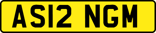 AS12NGM