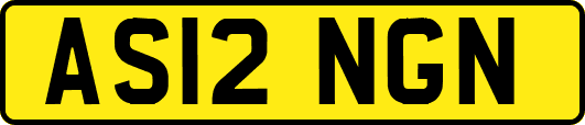 AS12NGN