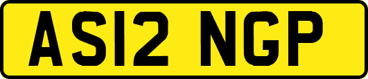 AS12NGP