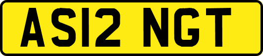 AS12NGT