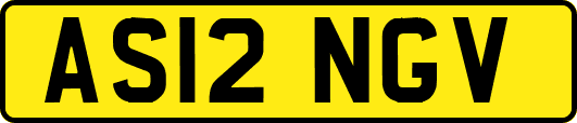AS12NGV