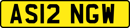 AS12NGW