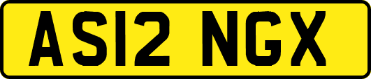 AS12NGX