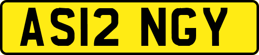 AS12NGY