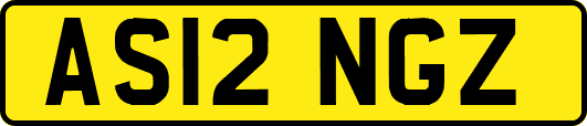 AS12NGZ