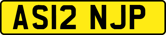 AS12NJP