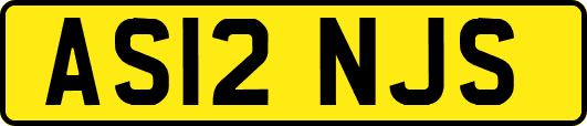 AS12NJS