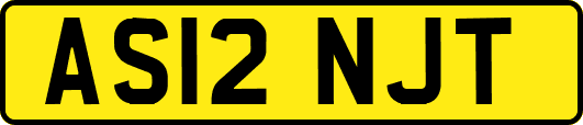 AS12NJT