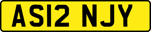 AS12NJY