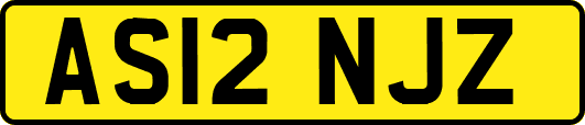 AS12NJZ
