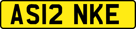 AS12NKE
