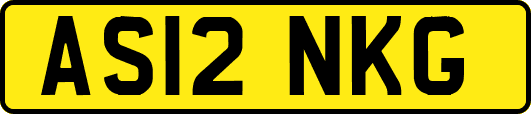 AS12NKG