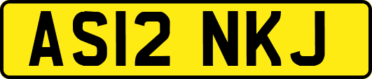 AS12NKJ