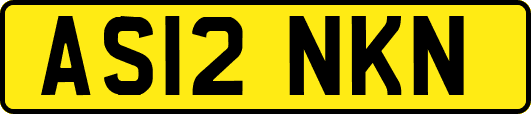 AS12NKN