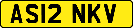 AS12NKV