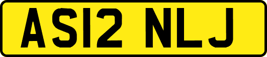 AS12NLJ