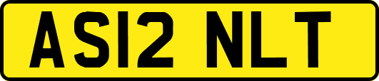 AS12NLT