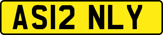 AS12NLY