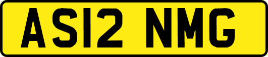 AS12NMG