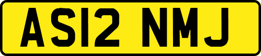 AS12NMJ