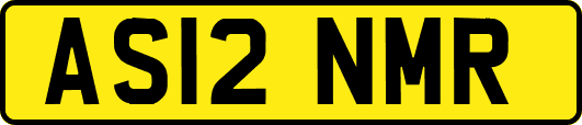AS12NMR