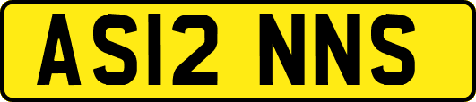 AS12NNS