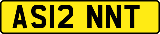 AS12NNT