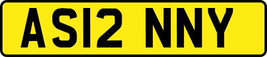 AS12NNY