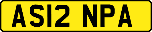 AS12NPA