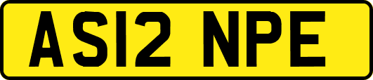 AS12NPE