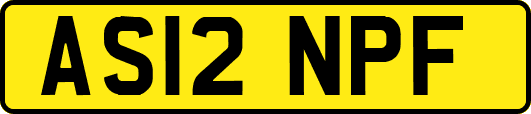 AS12NPF