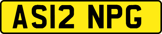 AS12NPG