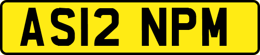 AS12NPM
