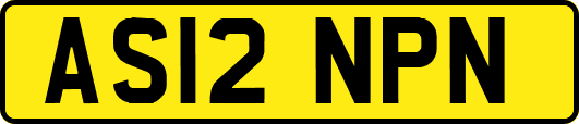 AS12NPN