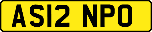 AS12NPO