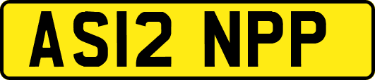 AS12NPP