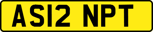 AS12NPT