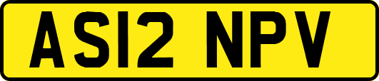 AS12NPV
