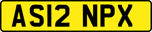 AS12NPX