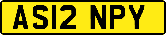 AS12NPY