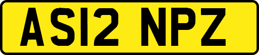 AS12NPZ