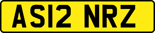 AS12NRZ