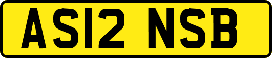 AS12NSB