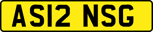AS12NSG